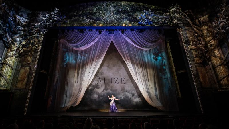 Meyer Sound PANTHER — звук Cirque du Soleil ALIZÉ в Берлине