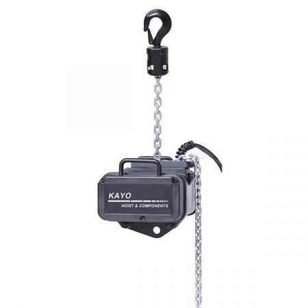 Kayo_SNN-S3-0_25_(D8) (1)