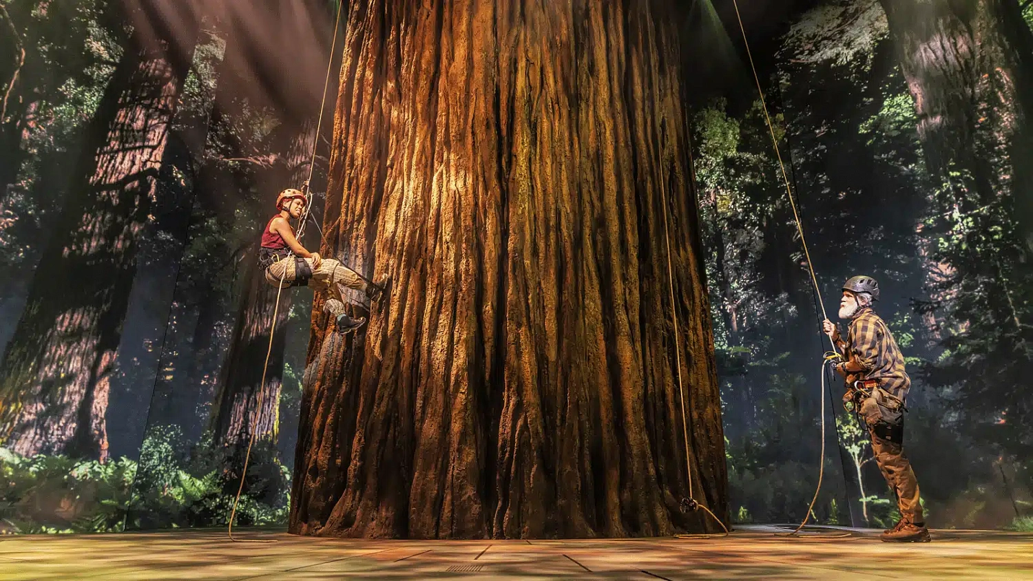 Иммерсивный звук выходит на сцену: как пространственные технологии меняют театральную драматургию