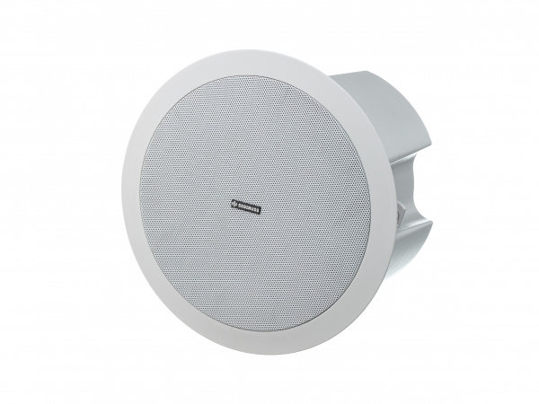 DIGIRUSS CSP5 Потолочный двухполосный коаксиальный громкоговоритель