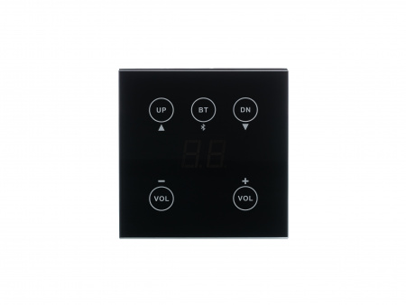 DIGIRUSS RCP Панель дистанционного управления