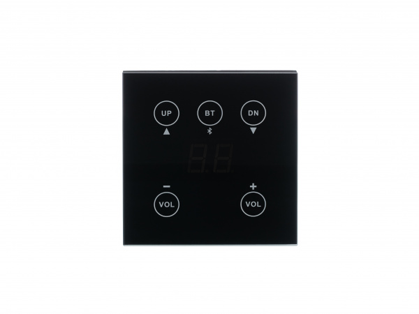 DIGIRUSS RCP Панель дистанционного управления