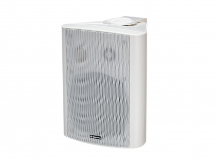 DIGIRUSS WSP-430 W Настенная трансляционная акустическая система