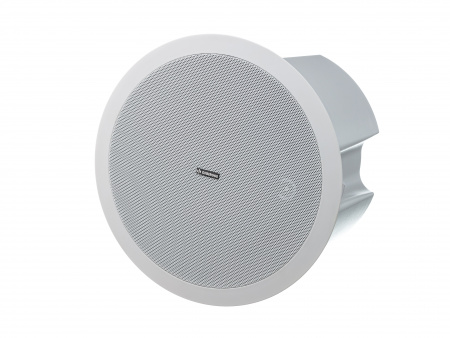 DIGIRUSS CSP8PP потолочный двухполосный коаксиальный громкоговоритель в корпусе