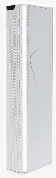 DIGIRUSS DPR-L8 Активный модуль линейного массива